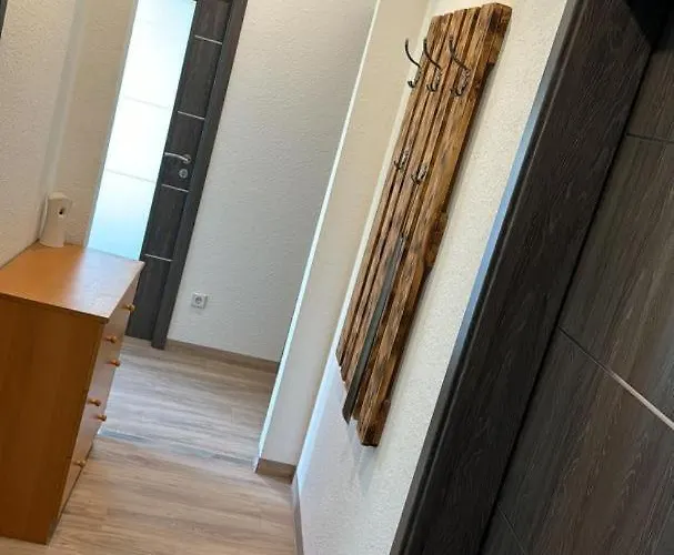 Neu! Elsteraue Og Links * Elsteraue